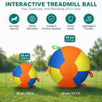Interactive Colorful Herding Ball with Handles for Dogs – Durable Outdoor Training Toy