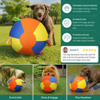 Interactive Colorful Herding Ball with Handles for Dogs – Durable Outdoor Training Toy