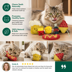 Teeth-Cleaning Catnip Chew Toys – Natural Loofah Dental Care & Play Set