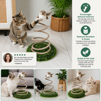 Interactive Spring Bird Cat Toy with Grass Base
