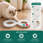 Interactive Cat Track Ball Toy