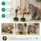 Teeth Cleaning Catnip Tumbler Cat Toy – Interactive Feather Teaser with Bell
