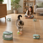 Automatic Cat Chasing Track Toy